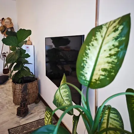 Casa Compartida San Francisco 3*