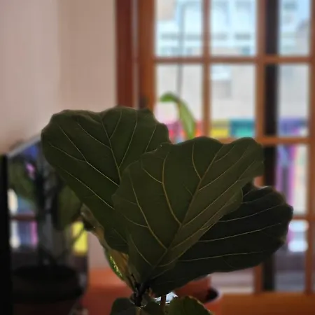 Nocleg ze śniadaniem Casa Compartida San Francisco